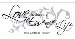 love-is-the-essence1